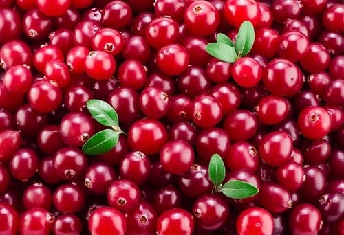 cranberrys