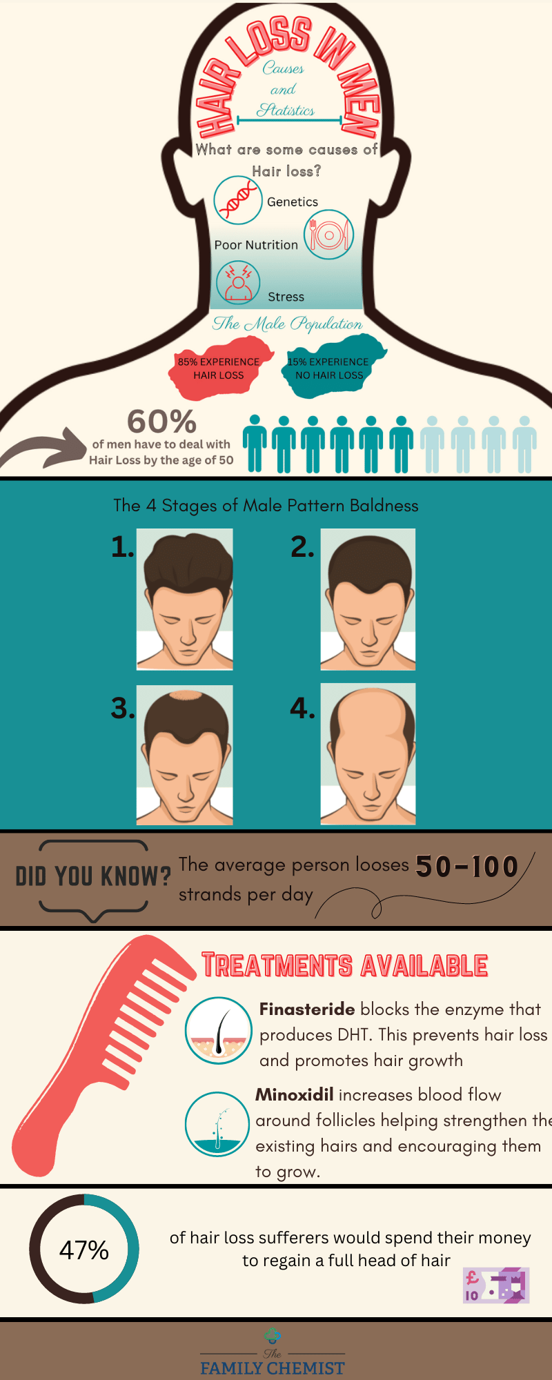 hair loss infographic