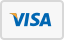we accept visa payment