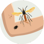 insect bite graphic