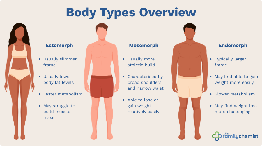 what body type infographic ectomorph mesomorph endomorph