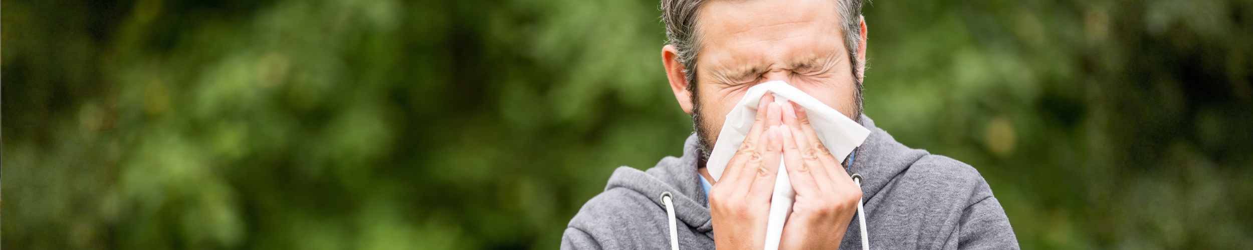 hay fever or common cold feature pic banner