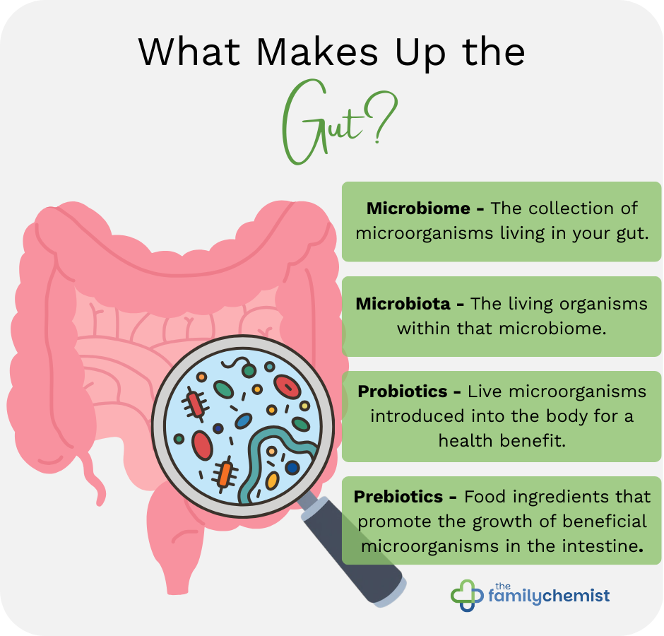 What makes up the gut infographic. microbiome microbiota probiotics prebiotics